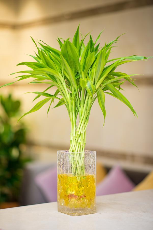 Anast Hotel Medine Dış mekan fotoğraf